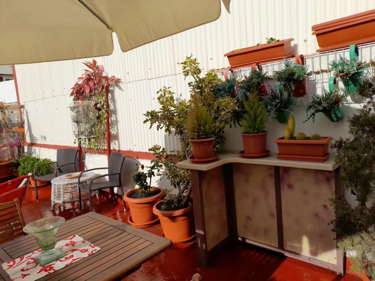 La Terraza Apartment Vinaros Exterior photo